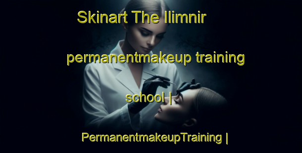 Skinart The Ilimnir permanentmakeup training school | PermanentmakeupTraining | PermanentmakeupClasses | SkinartTraining-Russian Federation
